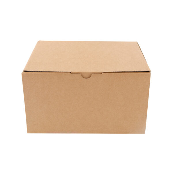 230x180x130mm Die-cut Mailing Box Heavy Duty